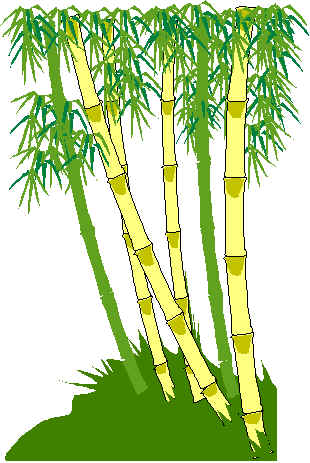 bamboo rods ou[bh